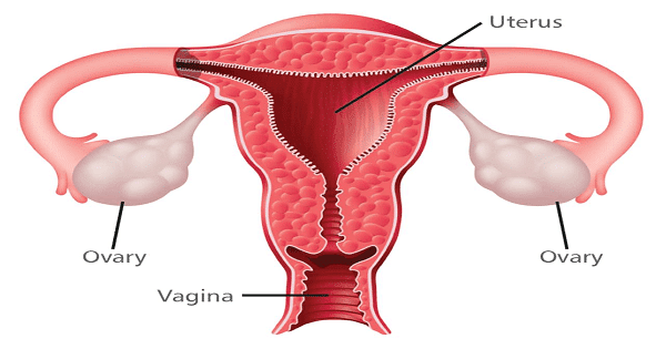 اعراض الحمل خارج الرحم في الشهر الأول بالتفصيل ماميتو