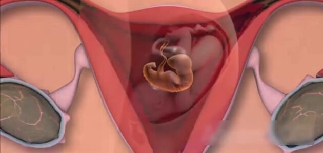 اسباب نزول دم أثناء الحمل في الشهر الثالث بالتفصيل ماميتو