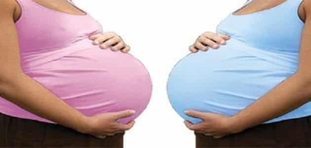 كيف يكون شكل بطن الحامل في الشهر الرابع Shakal Blog