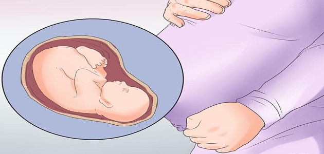 ما سبب عدم حركة الجنين في الشهر الرابع ماميتو